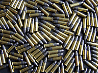 .22 calibre bullets