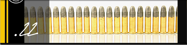 .22 Calibre bullets