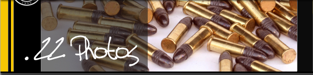 Prone position, coached, team rifleman in aim